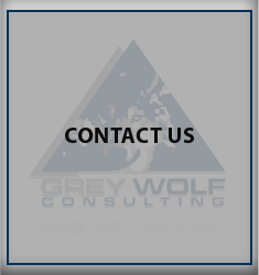 Grey Wolf Consulting - Contact Us