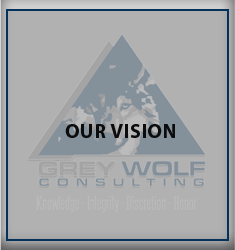 Grey Wolf Consulting - Our Vision