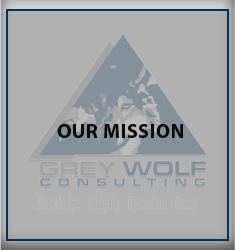Grey Wolf Consulting - Our Mission